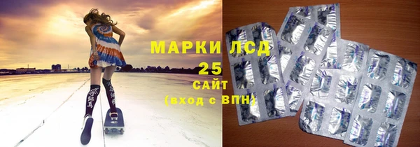 прущие крисы Гвардейск