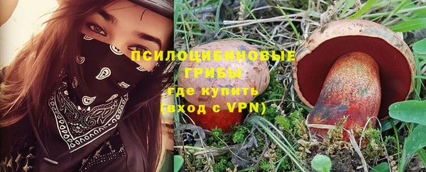 герыч Осинники