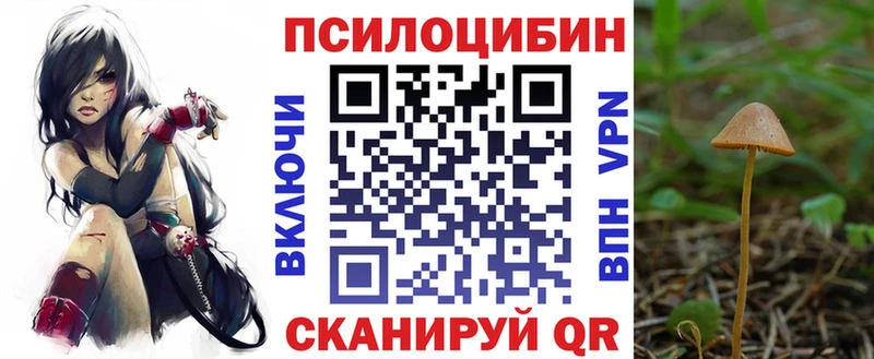 Псилоцибиновые грибы мицелий  Покачи 